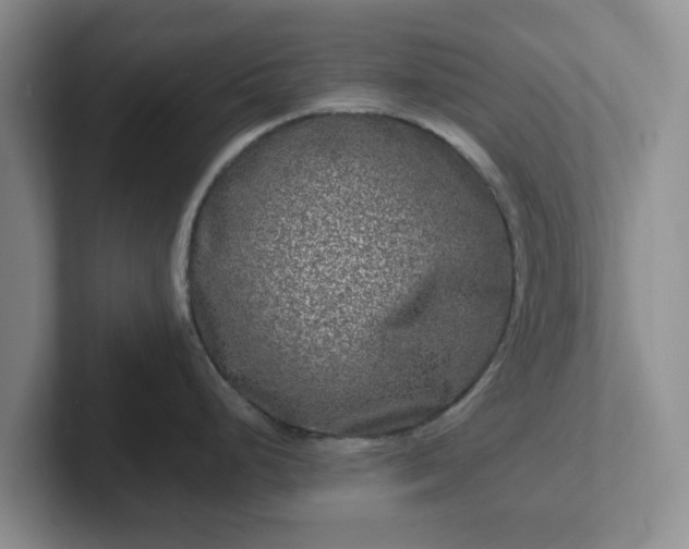 X0000102481248200808151443