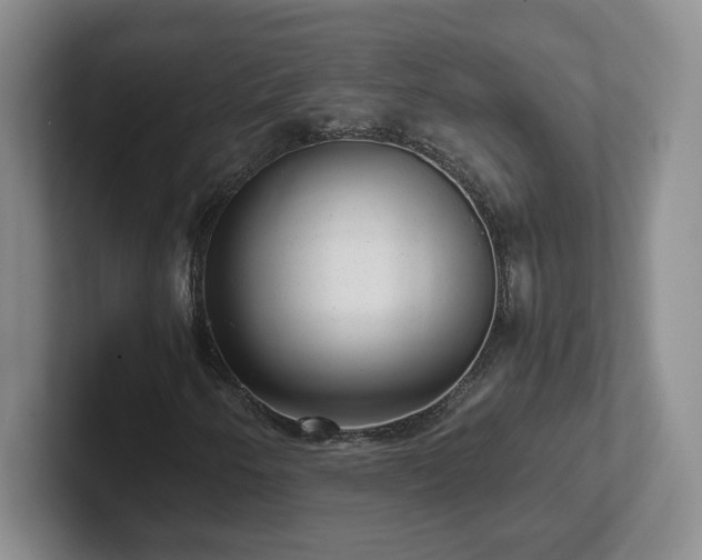 X0000102481250200808151442