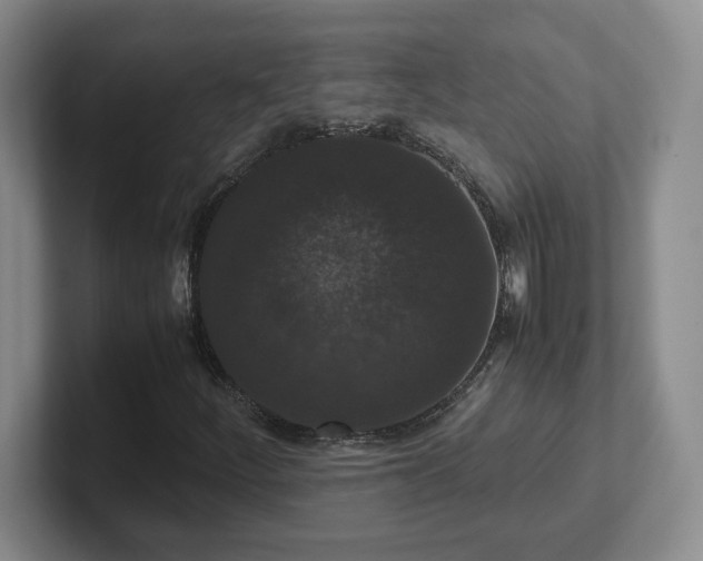 X0000102481252200808151442