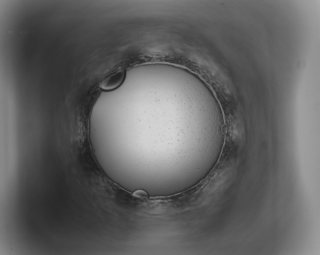 X0000102481253200808151442