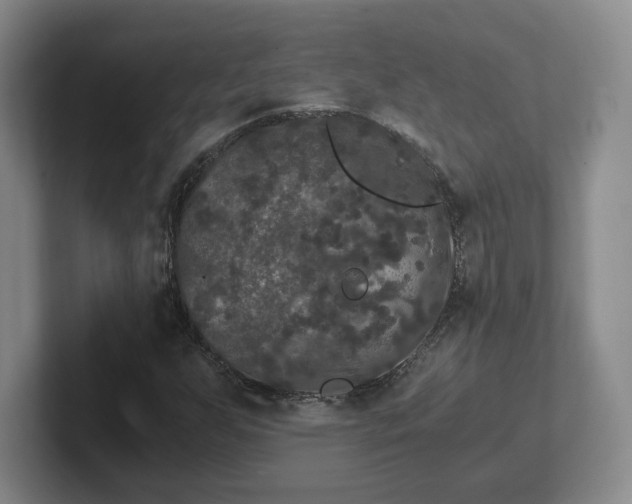 X0000102481255200808151442