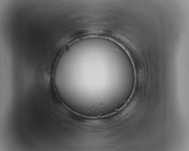 X0000102481257200808151442