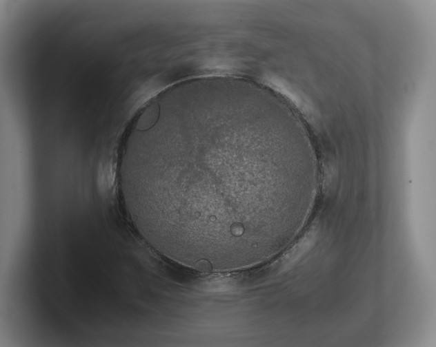 X0000102481259200808151442