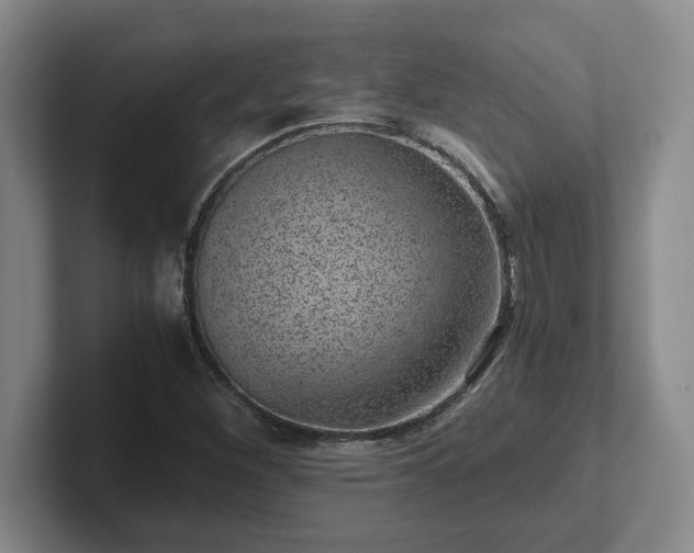 X0000102481260200808151442