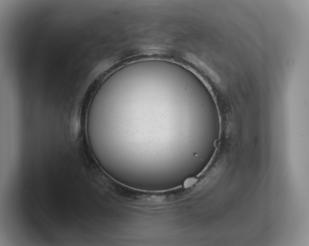 X0000102481261200808151442