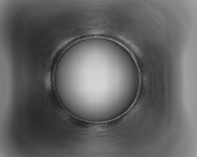 X0000102481262200808151442