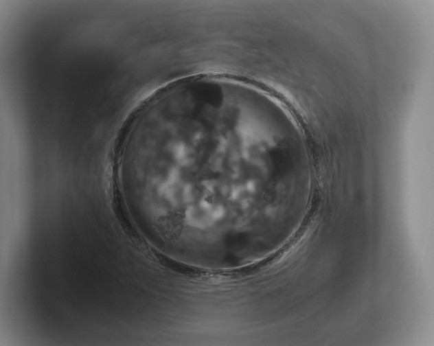 X0000102481263200808151442