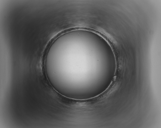 X0000102481264200808151442