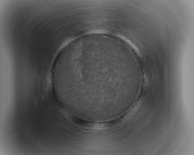 X0000102481266200808151442