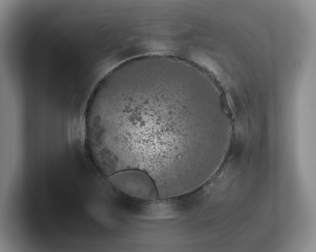 X0000102481267200808151442