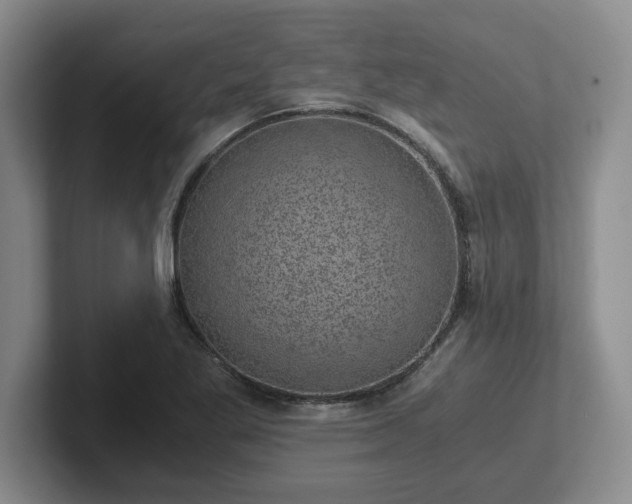 X0000102481269200808151442