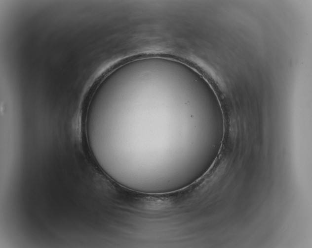 X0000102481270200808151442