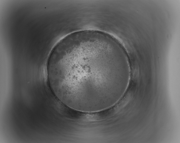 X0000102481271200808151442