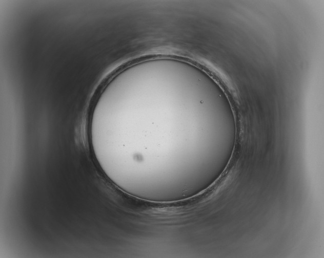 X0000102481272200808151442