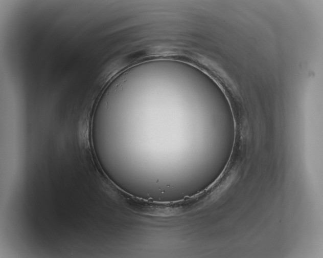 X0000102481273200808151442