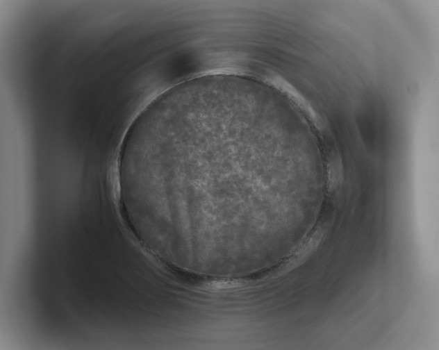 X0000102481274200808151442