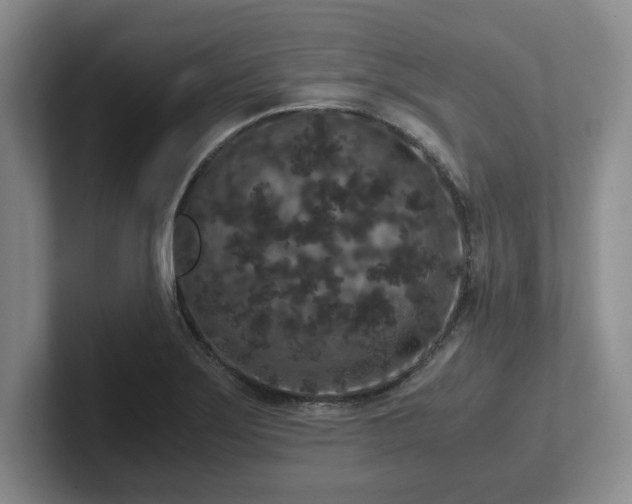 X0000102481275200808151442