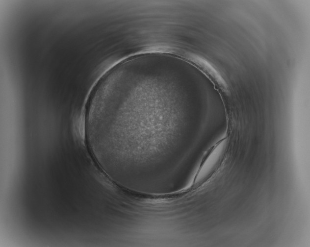 X0000102481276200808151442