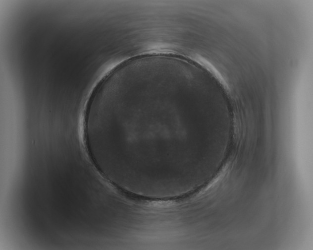 X0000102481277200808151442