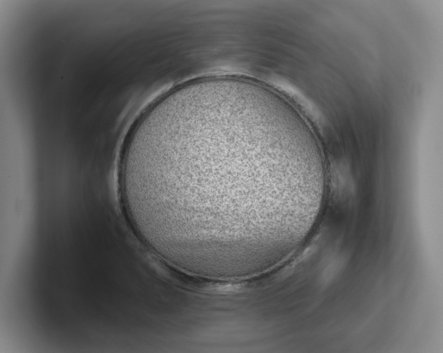 X0000102481278200808151442