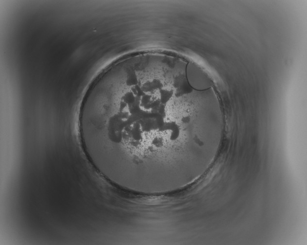 X0000102481279200808151442