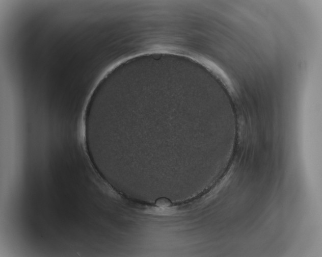 X0000102481280200808151442