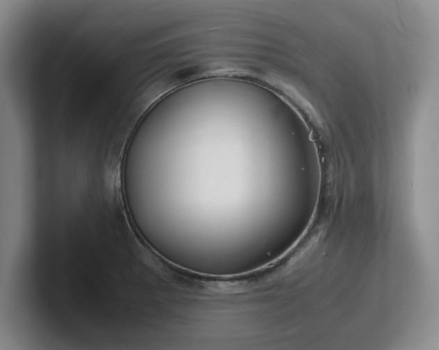 X0000102481281200808151442