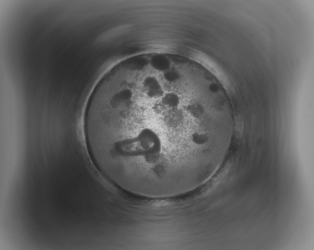 X0000102481283200808151442