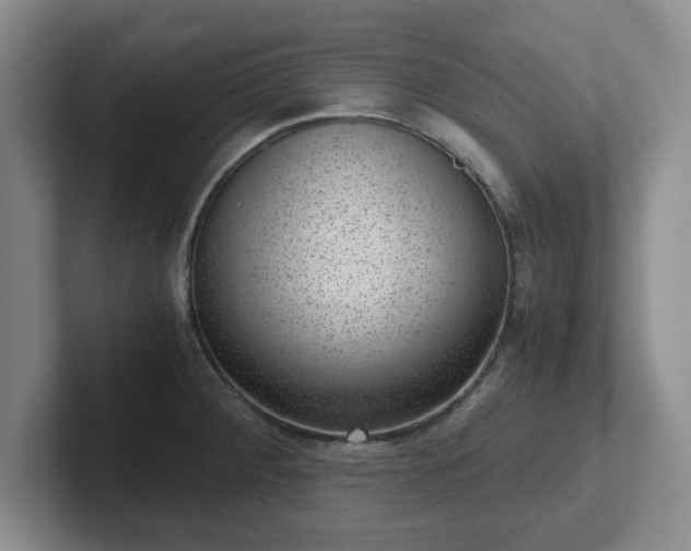 X0000102481284200808151442