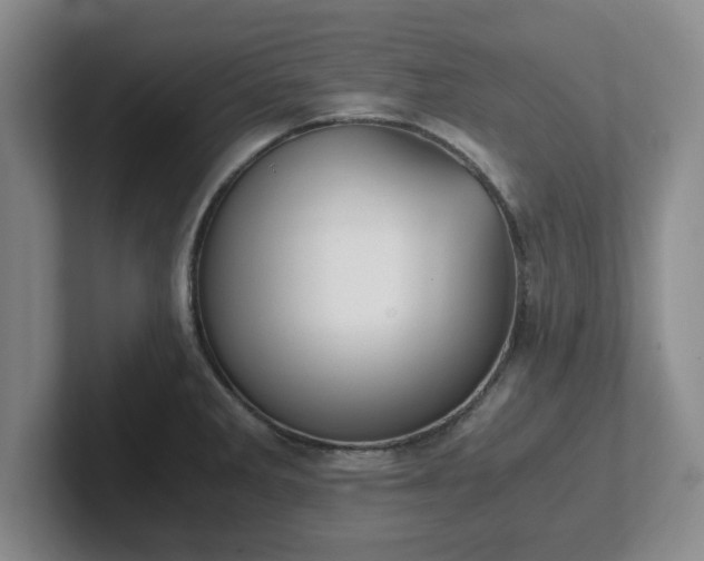 X0000102481285200808151442