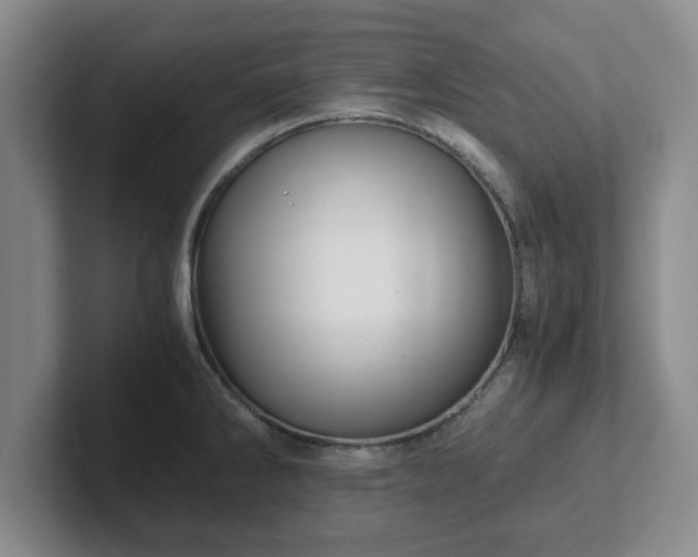 X0000102481286200808151442