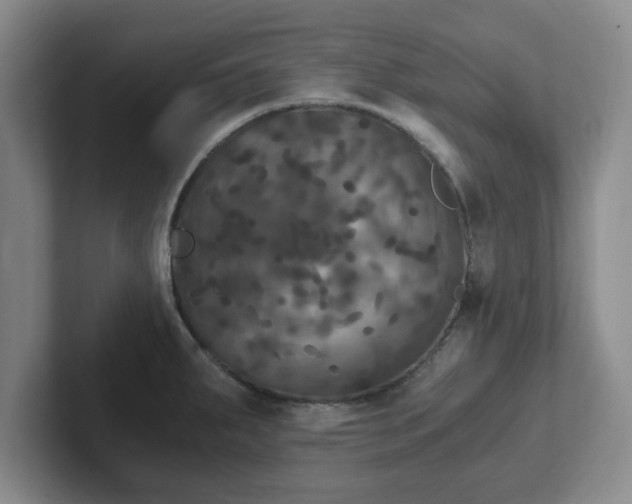 X0000102481287200808151442