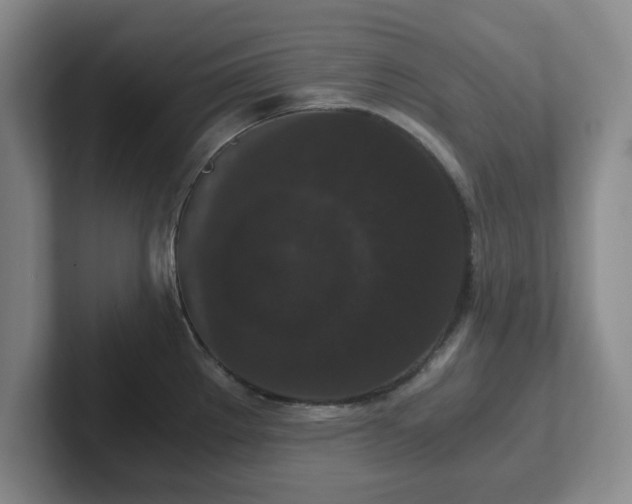 X0000102481289200808151442