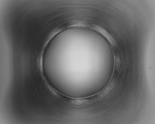 X0000102481290200808151442