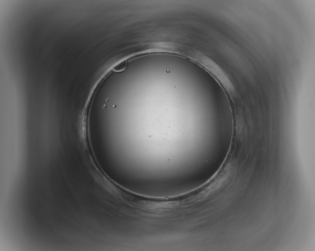 X0000102481292200808151442