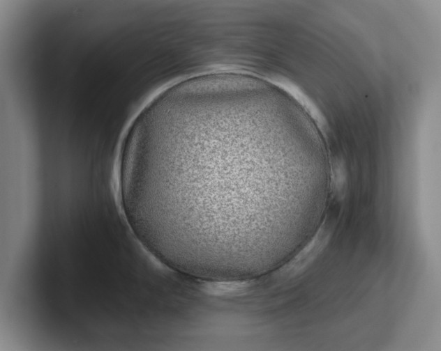 X0000102481294200808151442