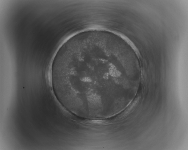 X0000102481295200808151442