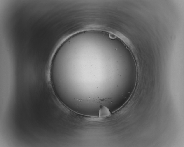 X0000102481296200808151442