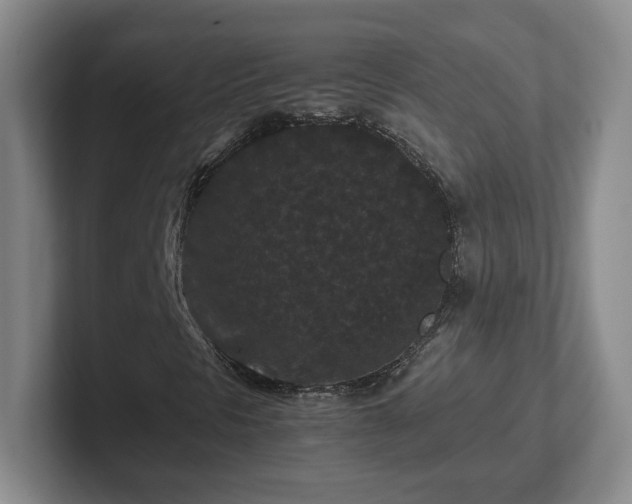 X0000102481297200808151441