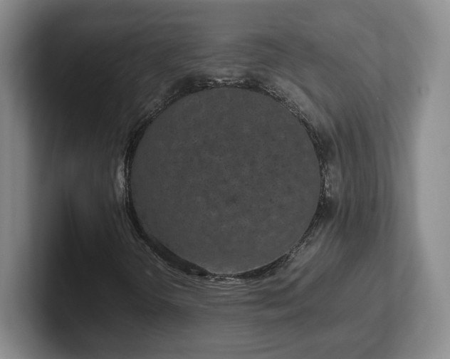 X0000102481298200808151441