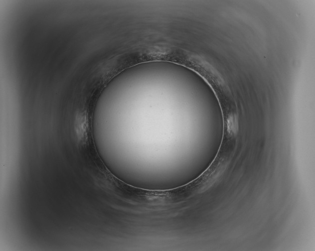 X0000102481299200808151441