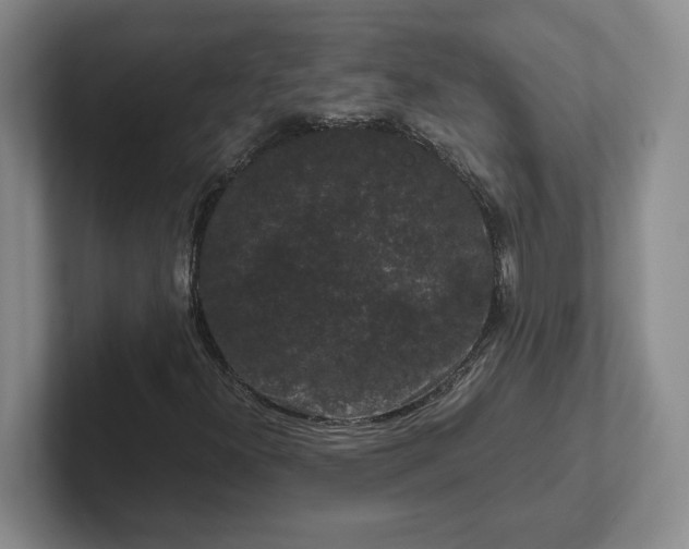 X0000102481300200808151441