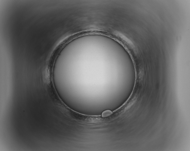 X0000102481310200808151441