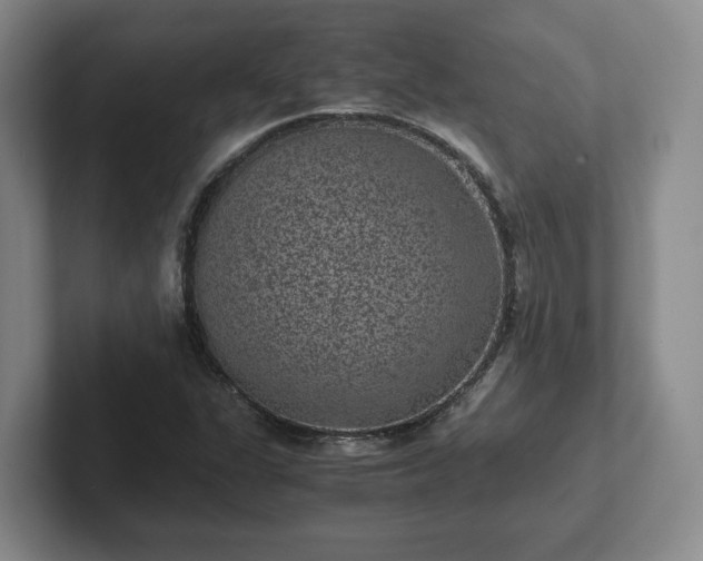 X0000102481311200808151441