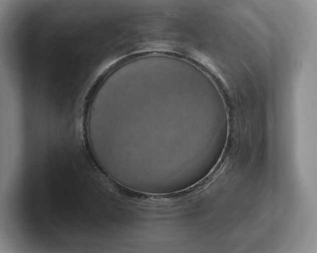 X0000102481312200808151441