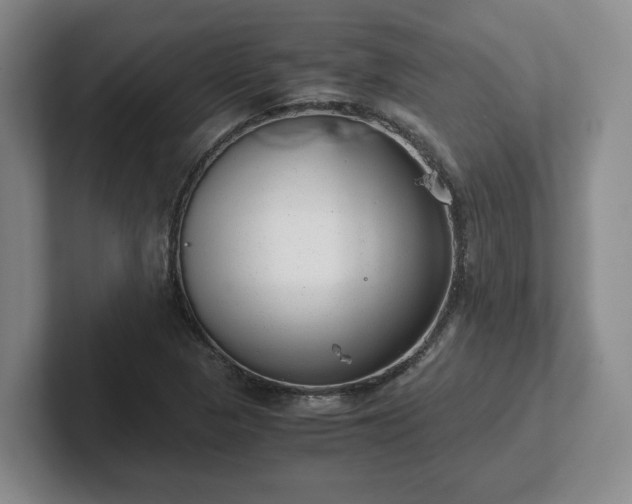 X0000102481313200808151441