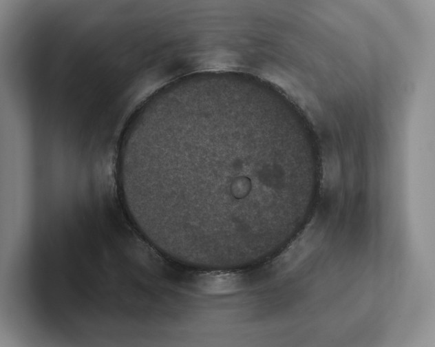 X0000102481314200808151441