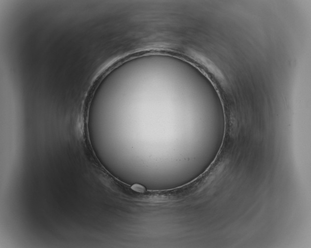 X0000102481316200808151441