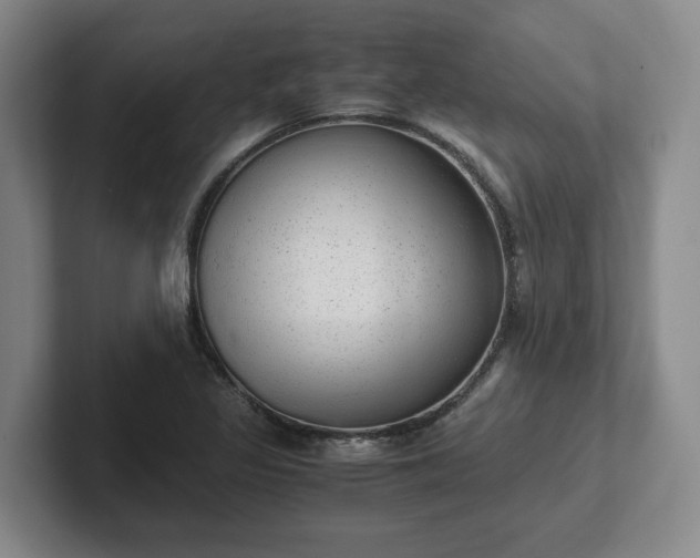 X0000102481317200808151441