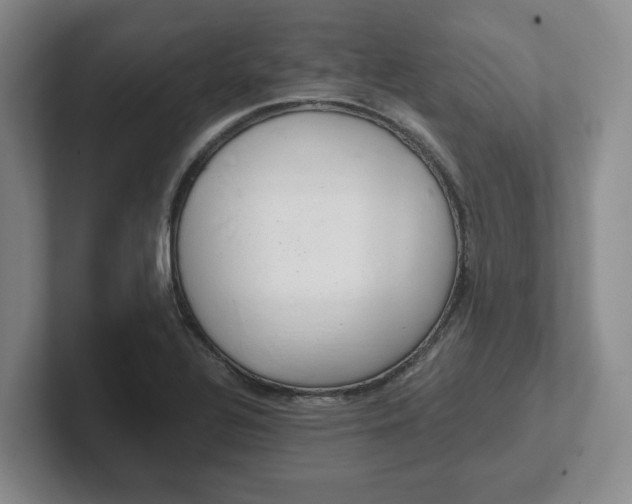 X0000102481320200808151441